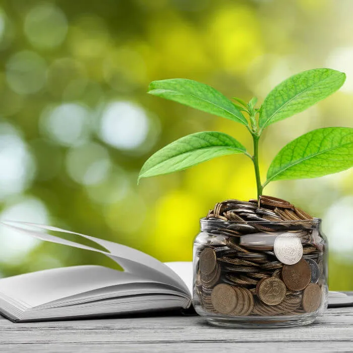 Ритуал для открытия денежного потока